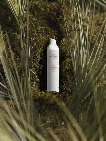 Blossom Anti-Age Day Cream