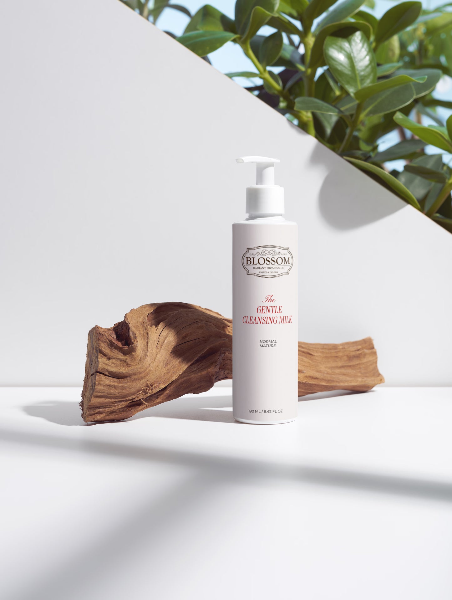 Blossom Gentle Cleansing Milk
